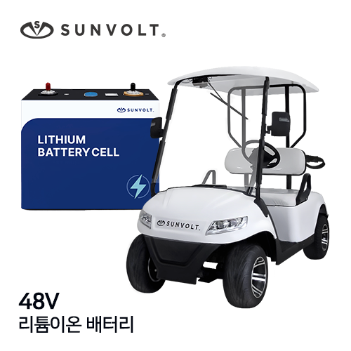 [골프카트] 48v 이온 배터리